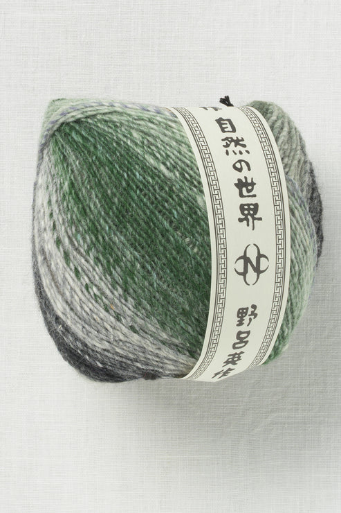 Noro Koma